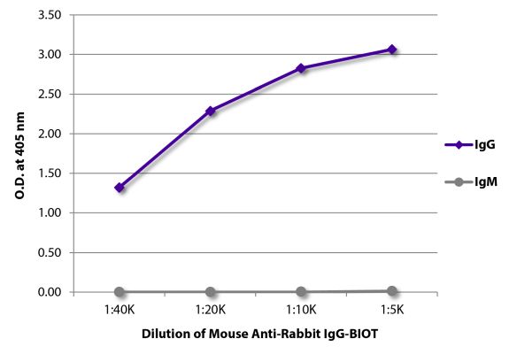 Abbildung: Maus IgG anti-Kaninchen IgG (Fc)-Biotin, MinX keine