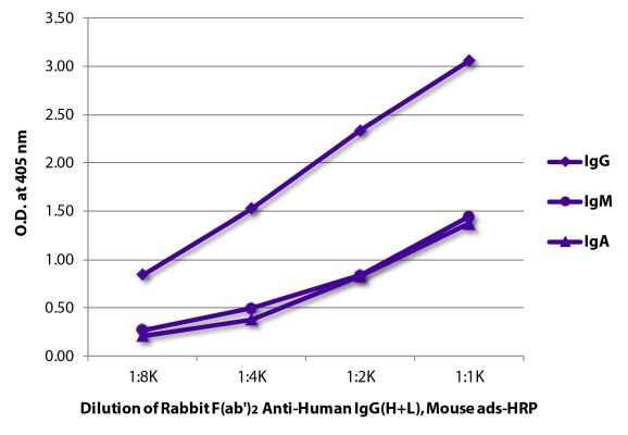 Abbildung: Kaninchen F(ab')2 anti-Human IgG (H+L)-HRPO, MinX Ms