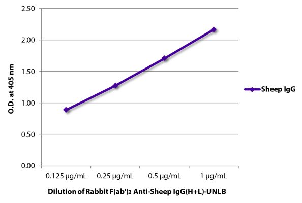 Abbildung: Kaninchen F(ab')2 anti-Schaf IgG (H+L)-unkonj., MinX keine