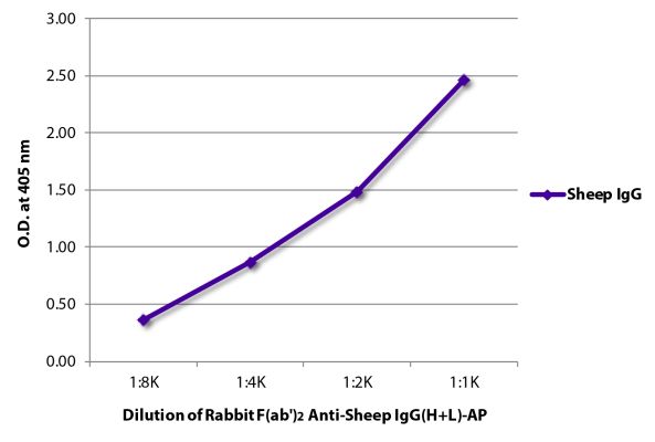 Abbildung: Kaninchen F(ab')2 anti-Schaf IgG (H+L)-Alk. Phos., MinX keine