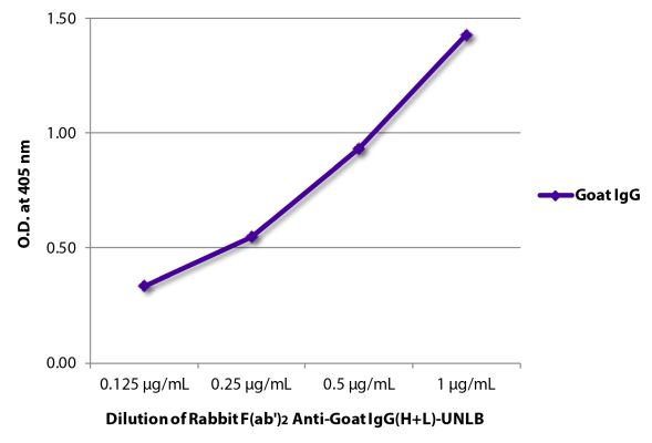 Abbildung: Kaninchen F(ab')2 anti-Ziege IgG (H+L)-unkonj., MinX keine
