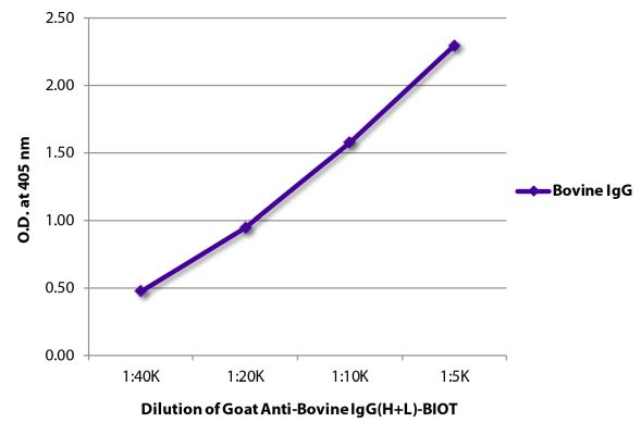 Abbildung: Ziege IgG anti-Rind IgG (H+L)-Biotin, MinX keine