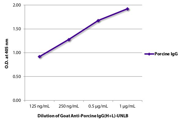 Abbildung: Ziege IgG anti-Schwein IgG (H+L)-unkonj., MinX keine