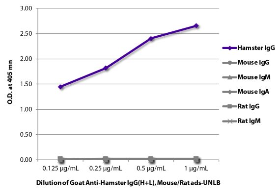 Image: Goat IgG anti-Hamster armenian IgG (H+L)-unconj., MinX Ms,Rt