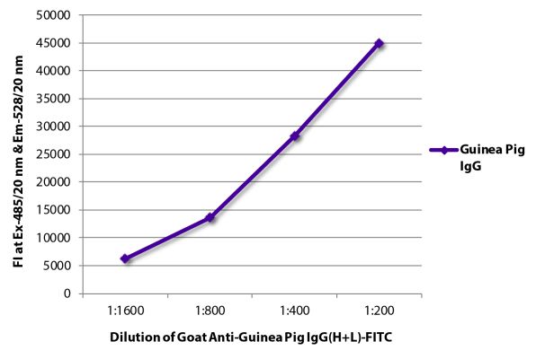 Abbildung: Ziege IgG anti-Meerschweinchen IgG (H+L)-FITC, MinX keine