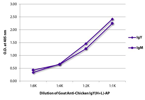Image: Goat IgG anti-Chicken IgY (H+L)-Alk. Phos., MinX none