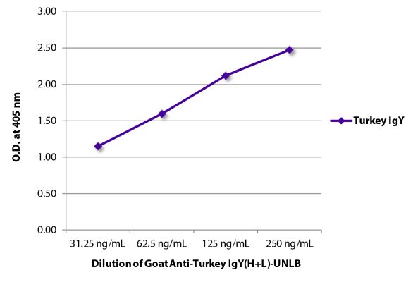 Image: Goat IgG anti-Turkey IgY (H+L)-unconj., MinX none