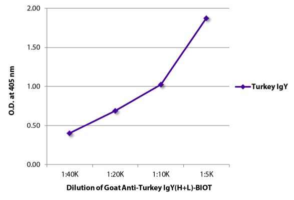 Abbildung: Ziege IgG anti-Truthahn IgY (H+L)-Biotin, MinX keine