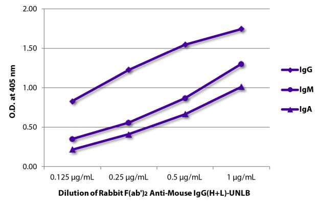 Abbildung: Kaninchen F(ab')2 anti-Maus IgG (H+L)-unkonj., MinX keine