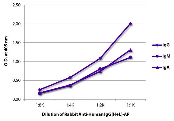 Abbildung: Kaninchen IgG anti-Human IgG (H+L)-Alk. Phos., MinX keine