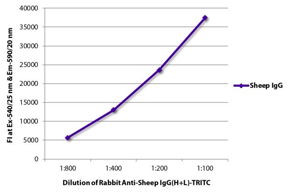 Abbildung: Kaninchen IgG anti-Schaf IgG (H+L)-TRITC, MinX keine
