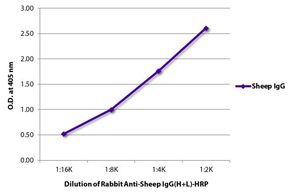 Abbildung: Kaninchen IgG anti-Schaf IgG (H+L)-HRPO, MinX keine