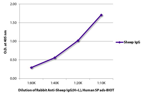 Abbildung: Kaninchen IgG anti-Schaf IgG (H+L)-Biotin, MinX Hu