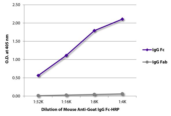 Abbildung: Maus IgG anti-Ziege IgG (Fc)-HRPO, MinX keine