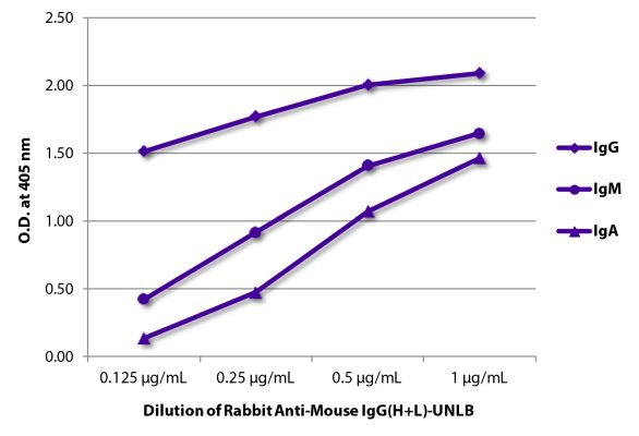 Image: Rabbit IgG anti-Mouse IgG (H+L)-unconj., MinX none