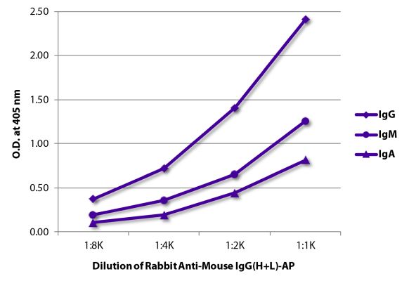 Abbildung: Kaninchen IgG anti-Maus IgG (H+L)-Alk. Phos., MinX keine