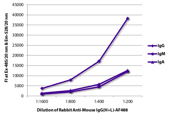 Abbildung: Kaninchen IgG anti-Maus IgG (H+L)-Alexa Fluor 488, MinX keine