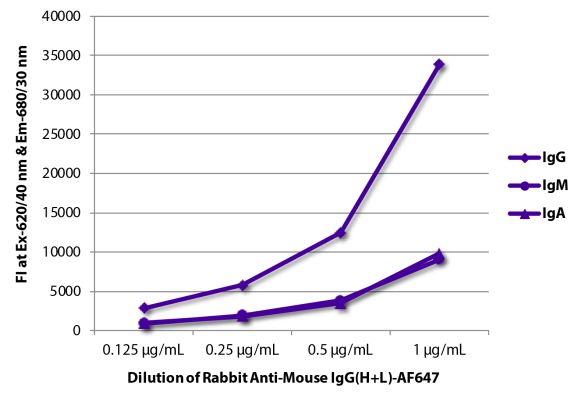 Abbildung: Kaninchen IgG anti-Maus IgG (H+L)-Alexa Fluor 647, MinX keine