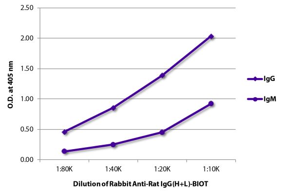 Image: Rabbit IgG anti-Rat IgG (H+L)-Biotin, MinX none