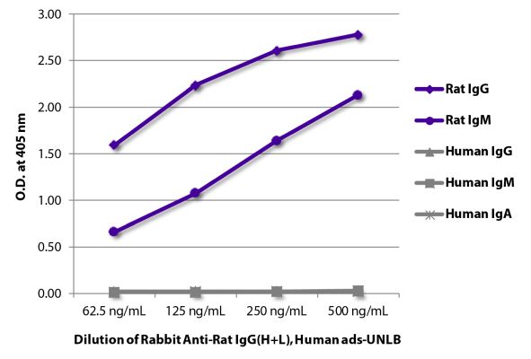 Abbildung: Kaninchen IgG anti-Ratte IgG (H+L)-unkonj., MinX Hu