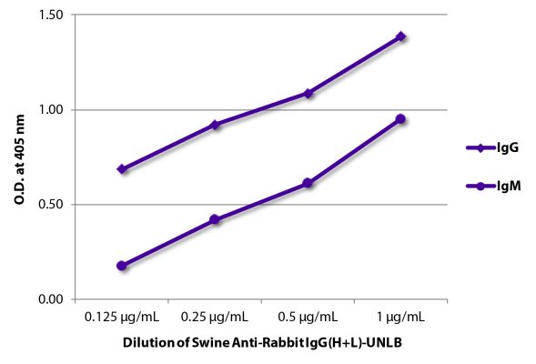 Abbildung: Schwein IgG anti-Kaninchen IgG (H+L)-unkonj., MinX keine