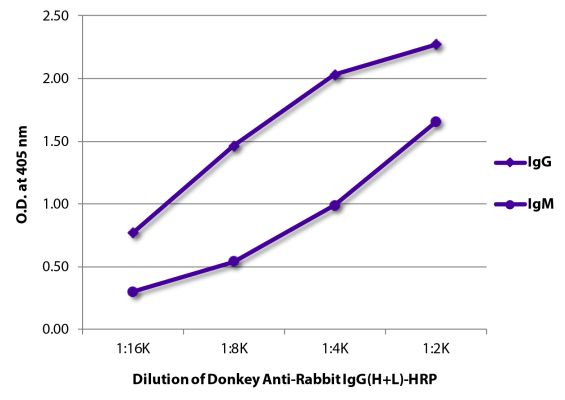 Abbildung: Esel IgG anti-Kaninchen IgG (H+L)-HRPO, MinX keine