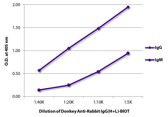 Abbildung: Esel IgG anti-Kaninchen IgG (H+L)-Biotin, MinX keine