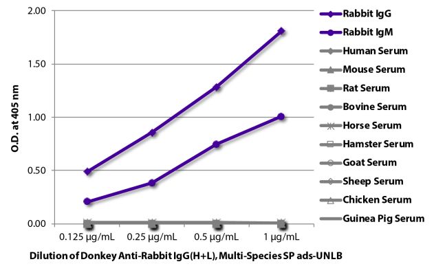 Image: Donkey IgG anti-Rabbit IgG (H+L)-unconj., MinX Hu,Ms,Rt,Bo,Ho,Ha,Go,Sh,Ck,Gp