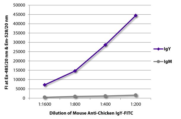 Abbildung: Maus IgG anti-Huhn IgY (H+L)-FITC, MinX keine