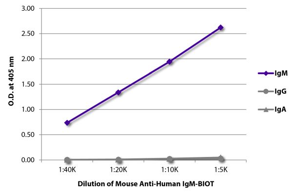 Abbildung: Maus IgG anti-Human IgM (µ)-Biotin, MinX keine
