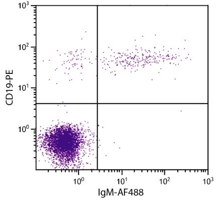 Abbildung: Maus IgG anti-Human IgM (µ)-Alexa Fluor 488, MinX keine