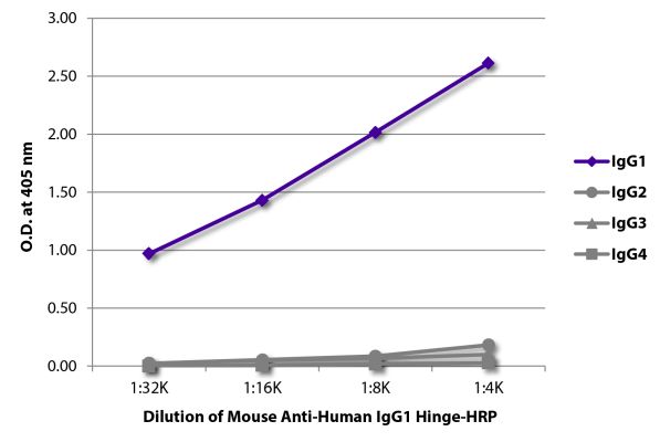 Abbildung: Maus IgG anti-Human IgG1 (Hinge)-HRPO, MinX keine