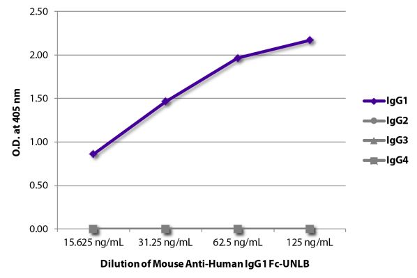 Abbildung: Maus IgG anti-Human IgG1 (Fc)-unkonj., MinX keine
