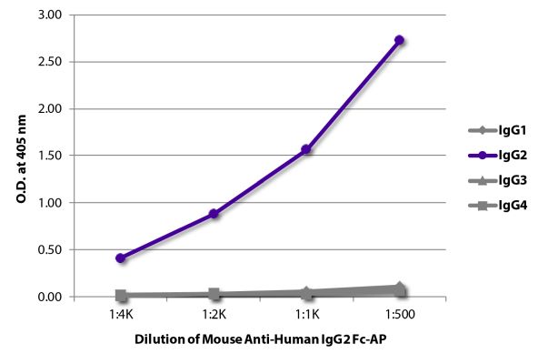 Image: Mouse IgG anti-Human IgG2 (Fc)-Alk. Phos., MinX none