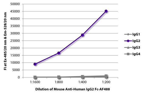 Abbildung: Maus IgG anti-Human IgG2 (Fc)-Alexa Fluor 488, MinX keine