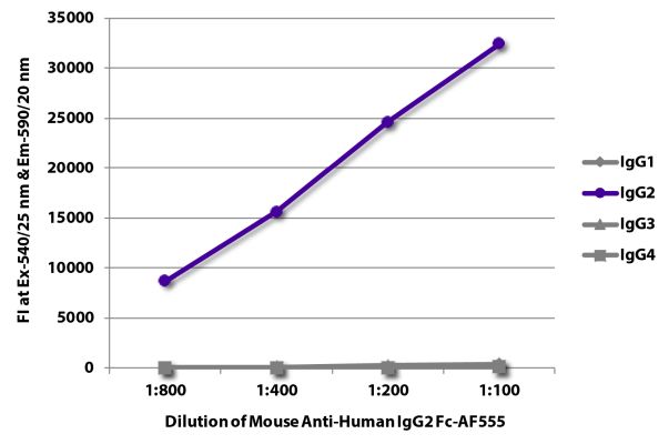Abbildung: Maus IgG anti-Human IgG2 (Fc)-Alexa Fluor 555, MinX keine