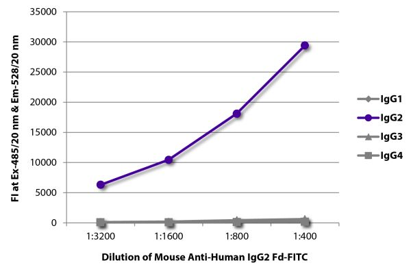 Abbildung: Maus IgG anti-Human IgG2 (Fd)-FITC, MinX keine