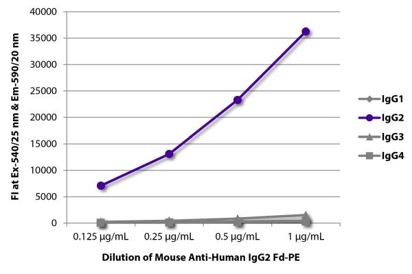 Abbildung: Maus IgG anti-Human IgG2 (Fd)-RPE, MinX keine