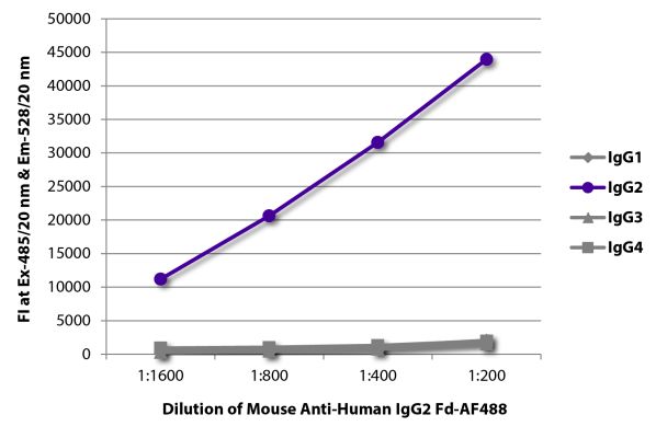 Abbildung: Maus IgG anti-Human IgG2 (Fd)-Alexa Fluor 488, MinX keine
