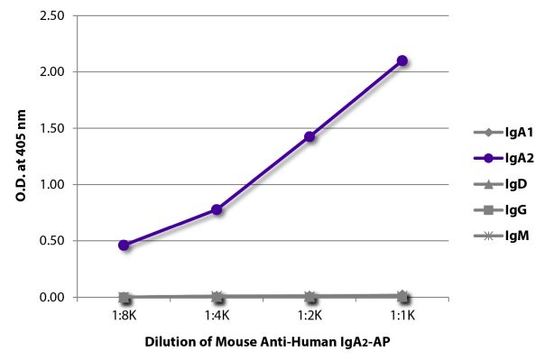 Abbildung: Maus IgG anti-Human IgA2-Alk. Phos., MinX keine
