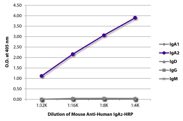Abbildung: Maus IgG anti-Human IgA2-HRPO, MinX keine