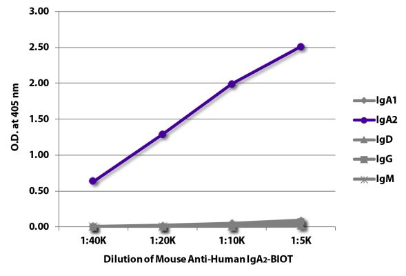 Abbildung: Maus IgG anti-Human IgA2-Biotin, MinX keine