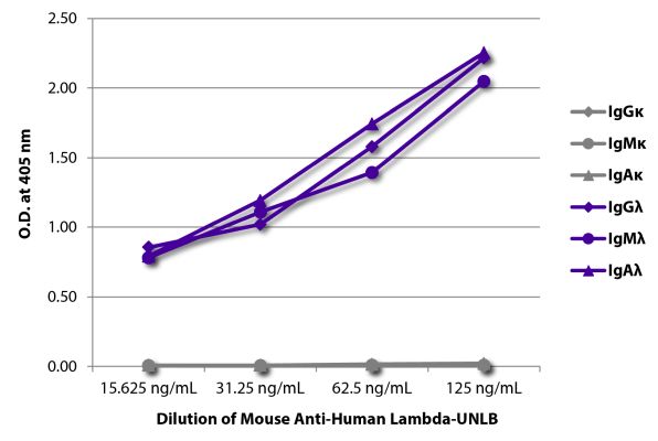 Abbildung: Maus IgG anti-Human Lambda (leichte Kette)-unkonj., MinX keine