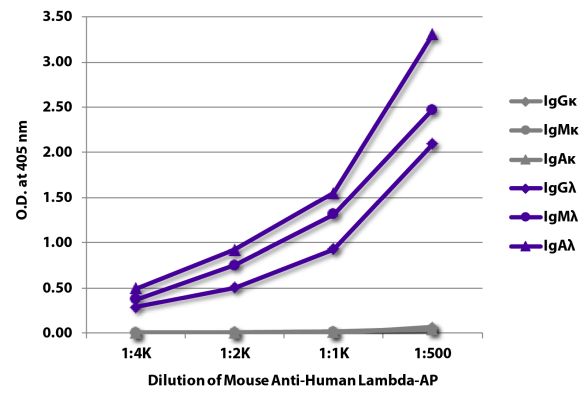Abbildung: Maus IgG anti-Human Lambda (leichte Kette)-Alk. Phos., MinX keine