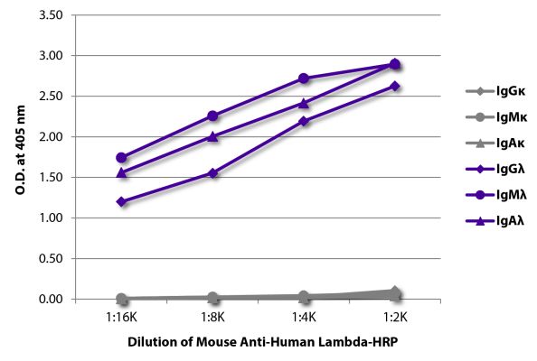 Abbildung: Maus IgG anti-Human Lambda (leichte Kette)-HRPO, MinX keine