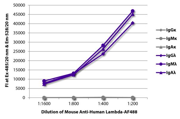 Abbildung: Maus IgG anti-Human Lambda (leichte Kette)-Alexa Fluor 488, MinX keine