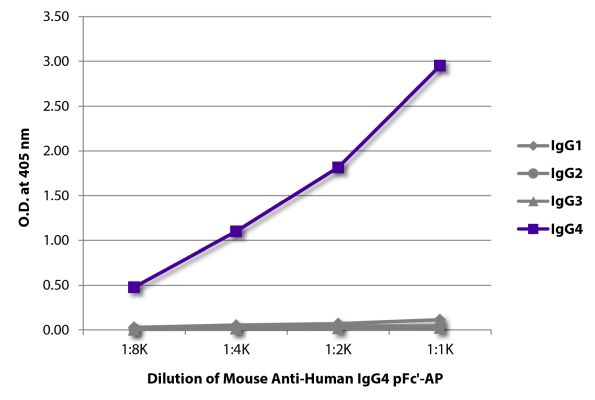 Image: Mouse IgG anti-Human IgG4 (pFc)-Alk. Phos., MinX none
