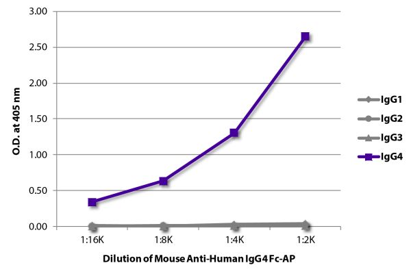 Abbildung: Maus IgG anti-Human IgG4 (Fc)-Alk. Phos., MinX keine