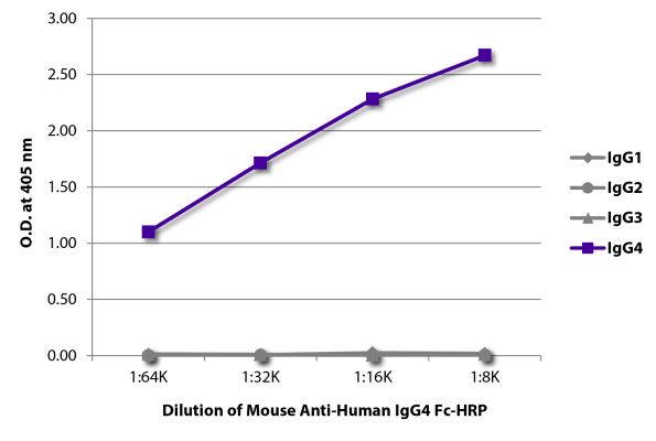 Abbildung: Maus IgG anti-Human IgG4 (Fc)-HRPO, MinX keine
