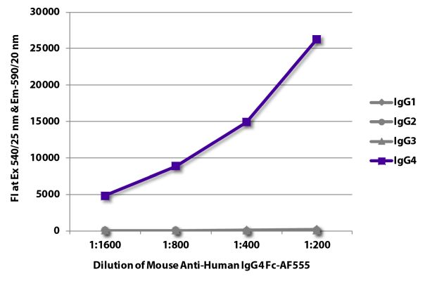 Abbildung: Maus IgG anti-Human IgG4 (Fc)-Alexa Fluor 555, MinX keine